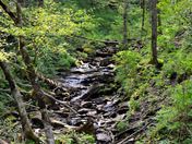 Great Smokey Moutain National Park