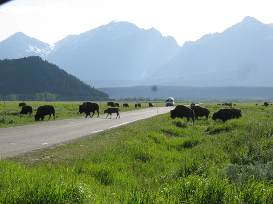 Grand Teton National Park