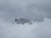 Yosemite NP