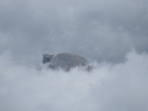 Yosemite NP