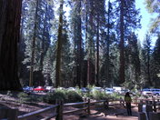 Yosemite