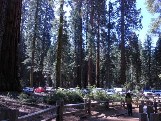 Yosemite