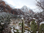 Zion National Park