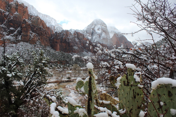 Zion National Park
