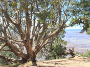 Grand Canyon National Park