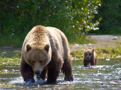 Kenai National Wildlife Refuge