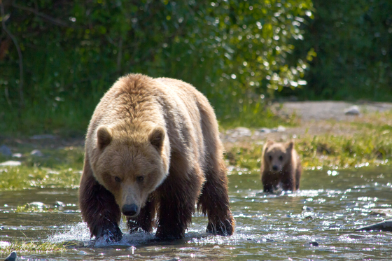 Kenai National Wildlife Refuge