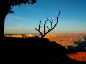 Grand Canyon National Park