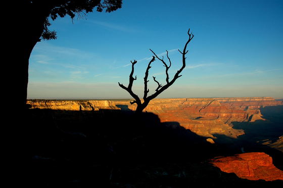 Grand Canyon National Park