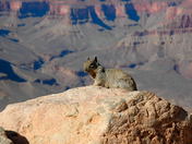 Grand Canyon National Park