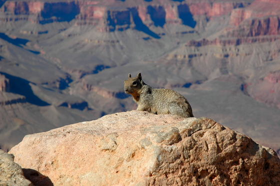 Grand Canyon National Park