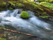 Umpqua National Forest