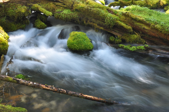 Umpqua National Forest