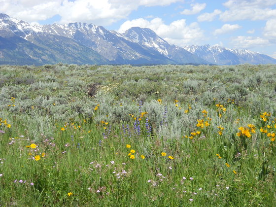 Grand Teton National Park