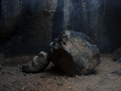 Fossil Falls
