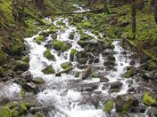 Olympic National Park