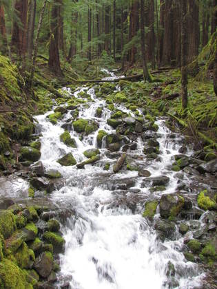 Olympic National Park
