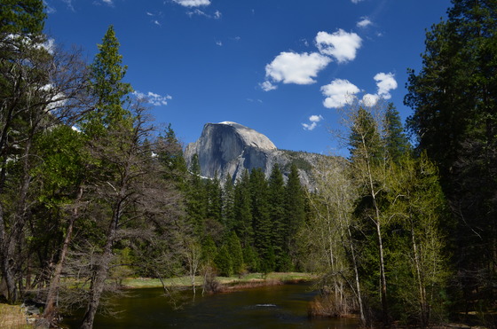 Yosemite National Park