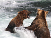 Katmai National Park