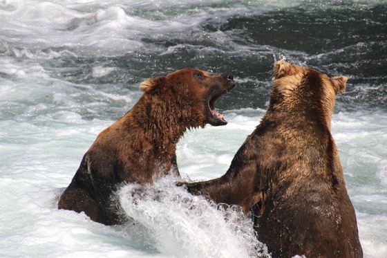 Katmai National Park