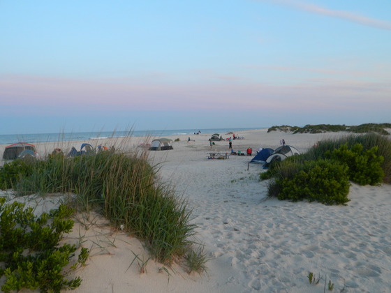 assateague island national seashore