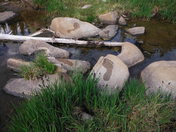 Sangre De Cristo Wilderness - San Isabel National Forest