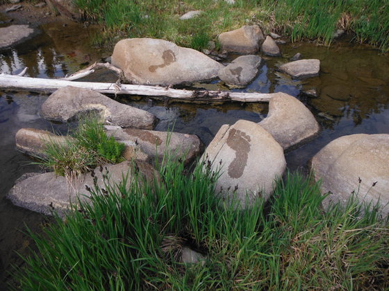 Sangre De Cristo Wilderness - San Isabel National Forest