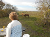 Assiateague Island Natl Seashore