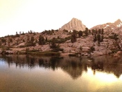 Inyo National Forest