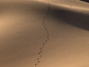 Death Valley