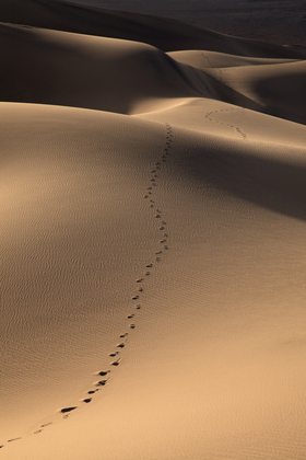 Death Valley