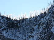 Yellowstone