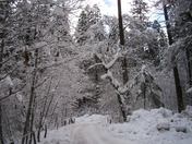 Yosemite