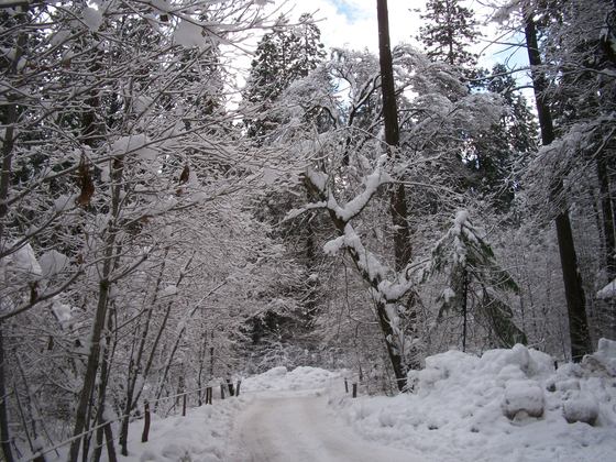 Yosemite