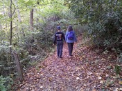 Big South Fork