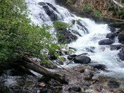 Wallowa Witman National Forest