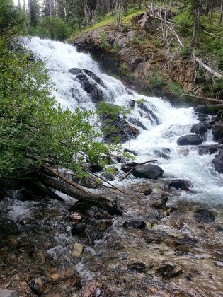 Wallowa Witman National Forest
