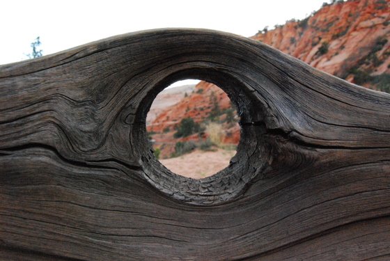Zion National Park