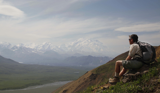 Denali National Park