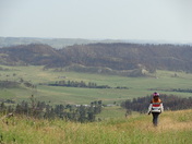 Custer National Forest