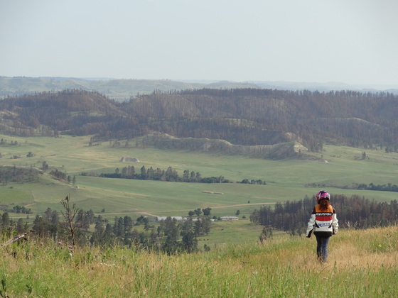 Custer National Forest