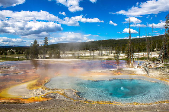 Yellowstone National Park
