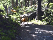 Rocky Mountain National Park
