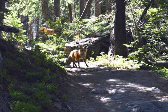 Rocky Mountain National Park