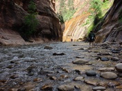 Zion National Park