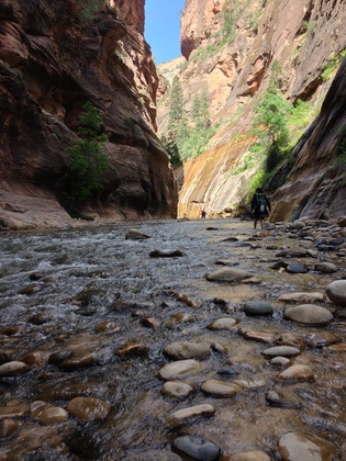 Zion National Park