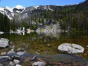 Gallatin National Forest