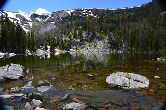 Gallatin National Forest
