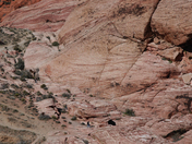 Red Rock Canyon National Conservation Area