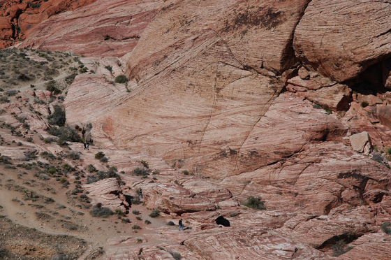 Red Rock Canyon National Conservation Area